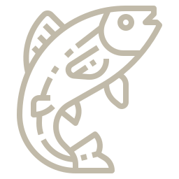 fish icon
